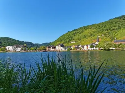 Naturlandschaft in der Nähe der Ferienwohnung