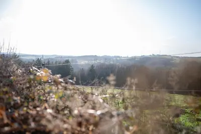 Naturlandschaft in der Nähe der Ferienwohnung