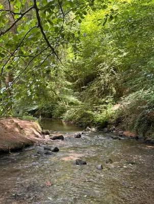 Naturlandschaft in der Nähe des Ferienhauses