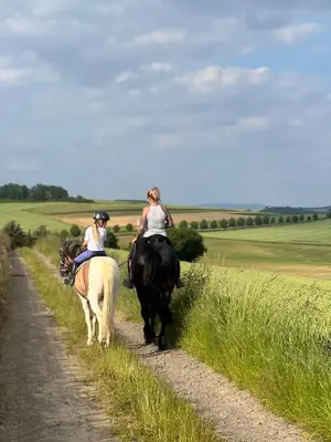 Tiere im Ferienhaus oder in der Nähe