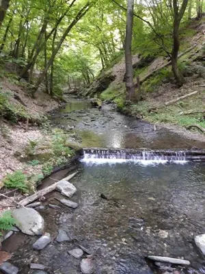 Naturlandschaft in der Nähe der Ferienwohnung