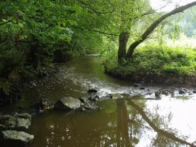 Naturlandschaft in der Nähe des Ferienhauses