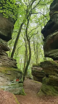 Naturlandschaft in der Nähe der Ferienwohnung