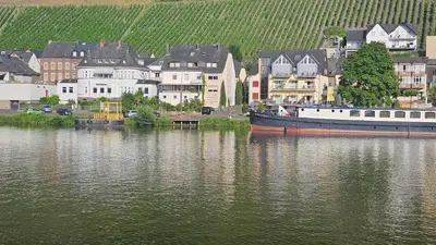 Blick auf einen Fluss in der Nähe der Ferienwohnung