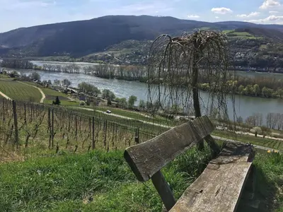 Naturlandschaft in der Nähe der Ferienwohnung