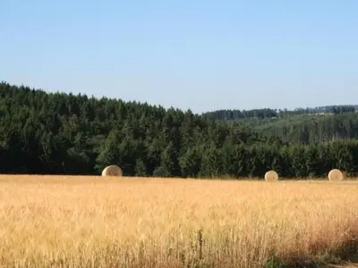 Naturlandschaft in der Nähe des Ferienhauses