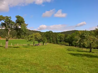 Naturlandschaft in der Nähe des Ferienhauses