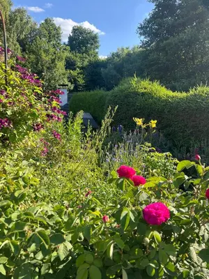 Ein Garten an der Unterkunft Gartenblick