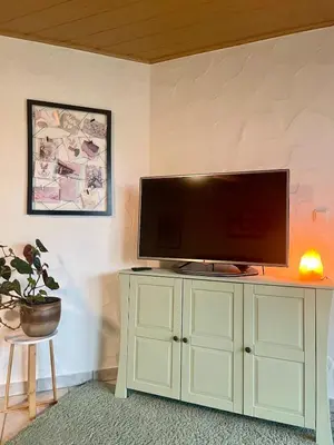 TV/Unterhaltungsangebot in der Unterkunft Gartenblick