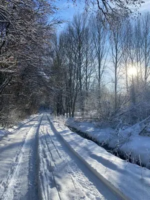 Gartenblick im Winter