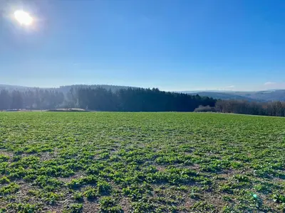 Naturlandschaft in der Nähe der Ferienwohnung