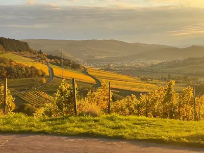 Naturlandschaft in der Nähe der Ferienwohnung
