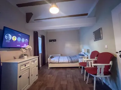 TV/Unterhaltungsangebot in der Unterkunft Ferienhaus Sonnentälchen Weinberg