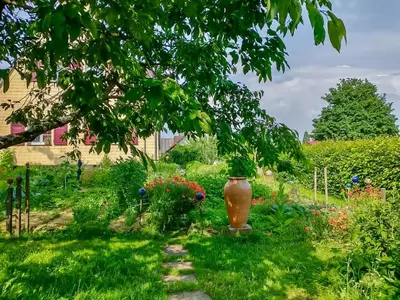Ein Garten an der Unterkunft Tinyhouse Minimalus I - Outdoorküche und Nebeldusche