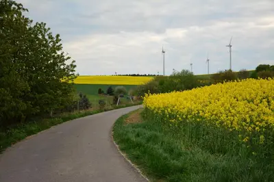 Naturlandschaft in der Nähe der Ferienwohnung