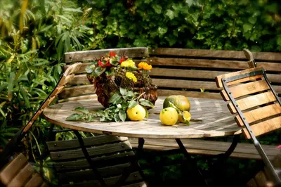 Ein Garten an der Unterkunft Bio-Weingut Staffelter Hof