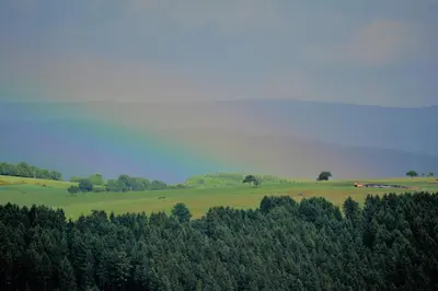 Naturlandschaft in der Nähe des Bed & Breakfasts