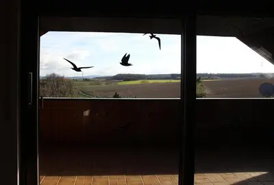 Grundriss der Unterkunft Ferienwohnung Panoramaweg