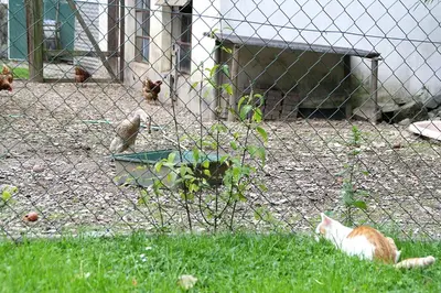 Ein Garten an der Unterkunft Baunhöller-Mühle