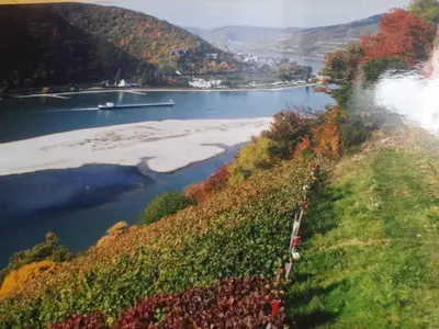Naturlandschaft in der Nähe des Bed & Breakfasts