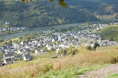 Naturlandschaft in der Nähe der Pension