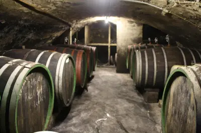 Grundriss der Unterkunft Weingut Stiftshof