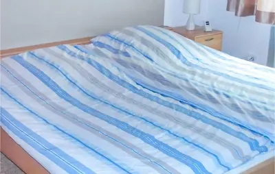 Ein Bett oder Betten in einem Zimmer der Unterkunft 1 Bedroom Awesome Home In Prümzurlay