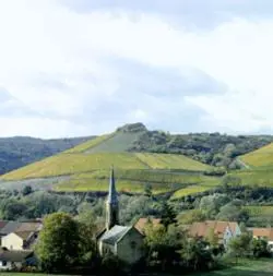 Naturlandschaft in der Nähe der Pension