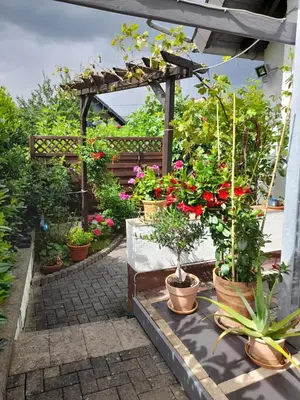 Ein Garten an der Unterkunft FeWo Karola