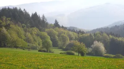 Naturlandschaft in der Nähe der Ferienwohnung