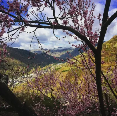 Naturlandschaft in der Nähe des Bed & Breakfasts