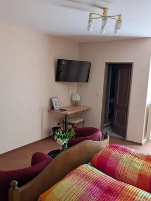 TV/Unterhaltungsangebot in der Unterkunft Zenners Landhotel