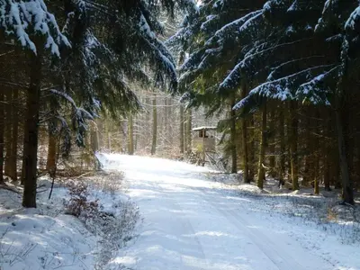 Zur Dorfschänke im Winter