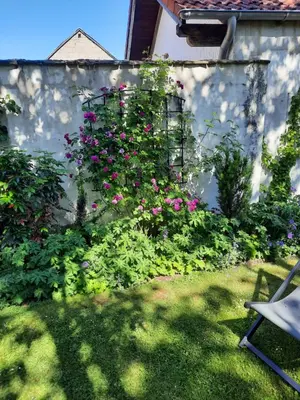 Ein Garten an der Unterkunft Maternushof