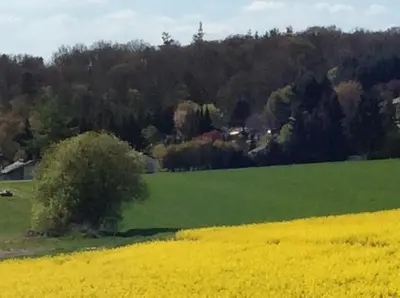 Naturlandschaft in der Nähe des Ferienhauses