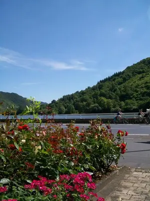 Grundriss der Unterkunft Wichtelhaus