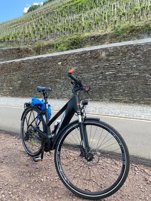 Radfahren an der Unterkunft Fewo Rheinwein 1 