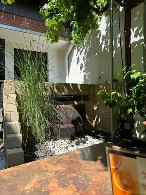 Ein Garten an der Unterkunft Winzergasthof zum Kellerstübchen