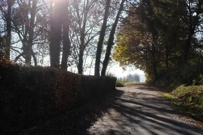 Naturlandschaft in der Nähe der Ferienwohnung