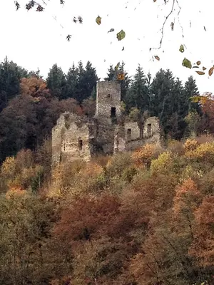Grundriss der Unterkunft Zum Pinken Schaf