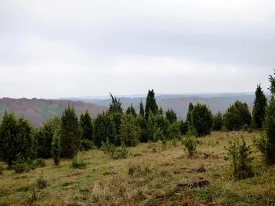 Naturlandschaft in der Nähe des Ferienhauses