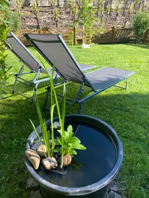 Ein Garten an der Unterkunft Ferienwohnung Ambiente II und III
