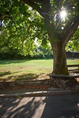 Ein Garten an der Unterkunft christePAUL Ferienwohnungen