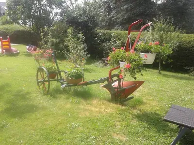 Ein Garten an der Unterkunft FeWo Sonnenblume mit sauna