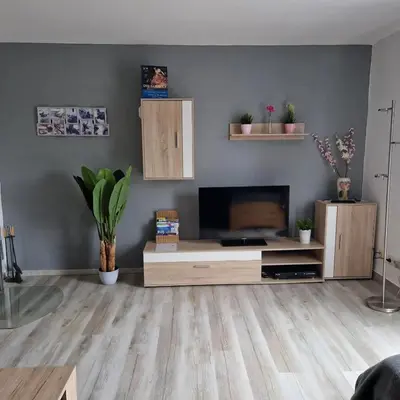 TV/Unterhaltungsangebot in der Unterkunft Ferienwohnung Sehnental