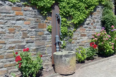 Ein Garten an der Unterkunft Ferien Weingut Pauly