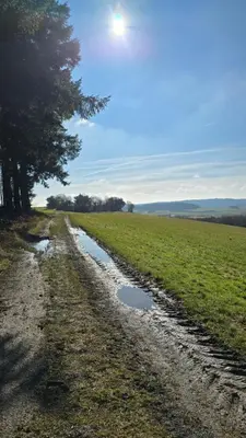 Naturlandschaft in der Nähe des Hotels