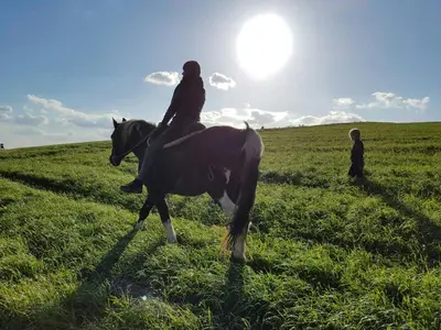 Tiere in diesem Bauernhof oder in der Nähe