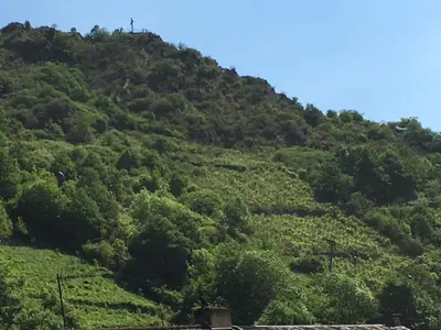 Naturlandschaft in der Nähe der Ferienwohnung