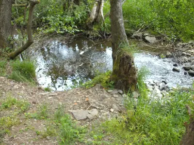 Naturlandschaft in der Nähe des Ferienhauses